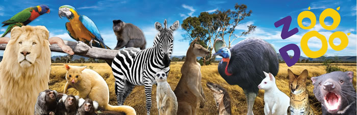 ZooDoo Wildlife Park | Open Hours & Tickets